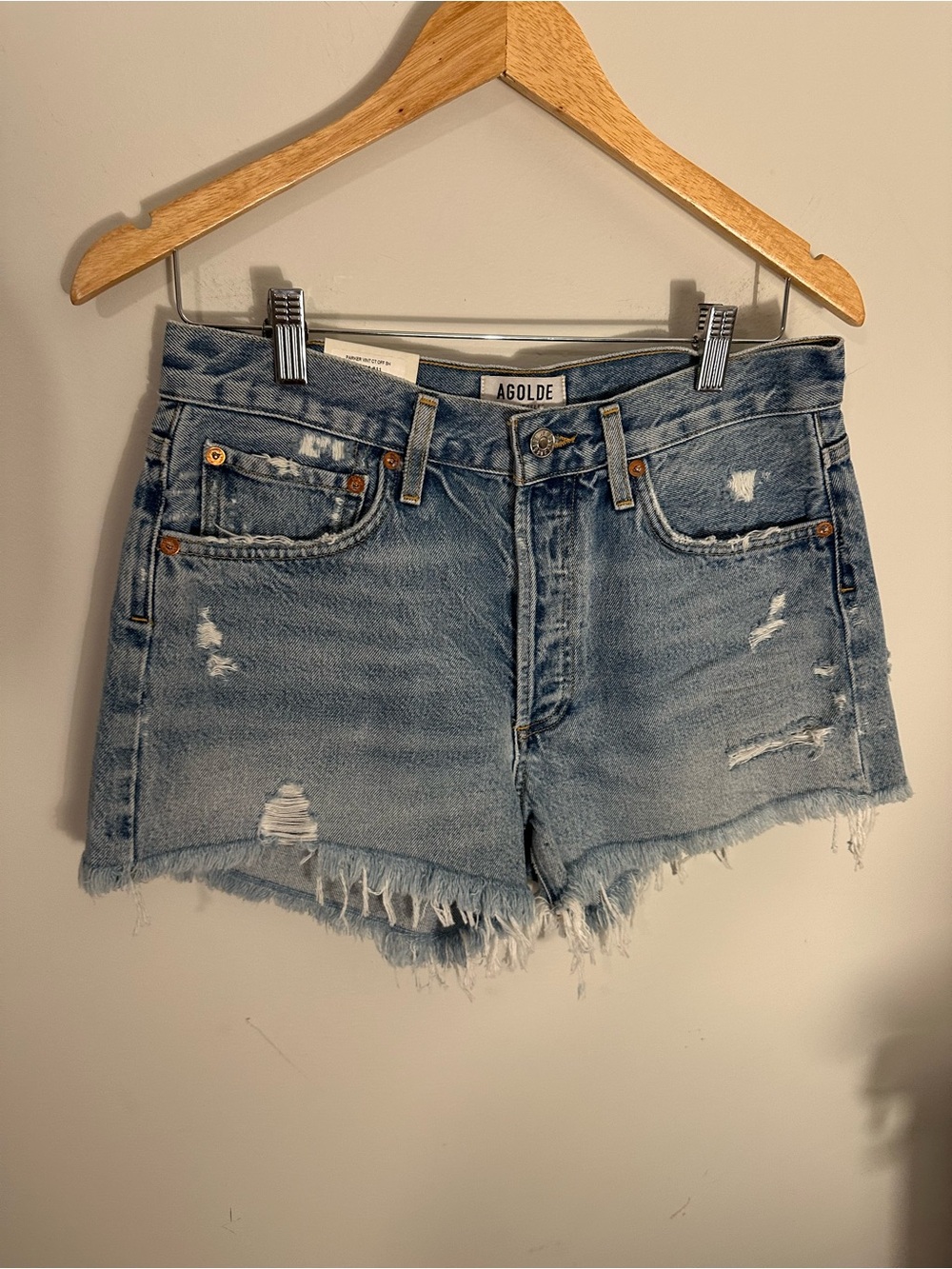 NWT Agolde Parker shorts Swapmeet 27
